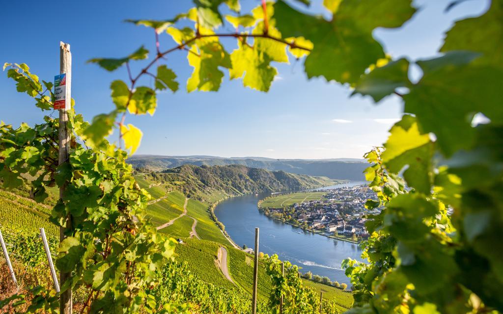 Mosel Hähn Hotel Koblenz (Rhineland-Palatinate)
