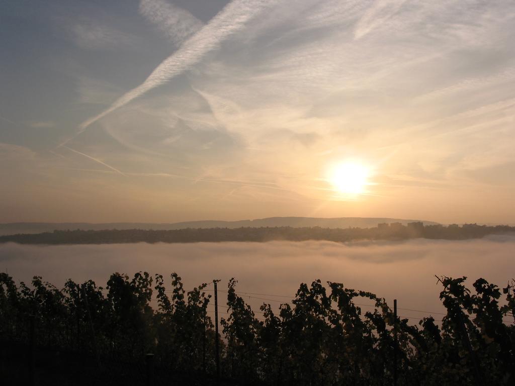 Mosel Hähn 4*