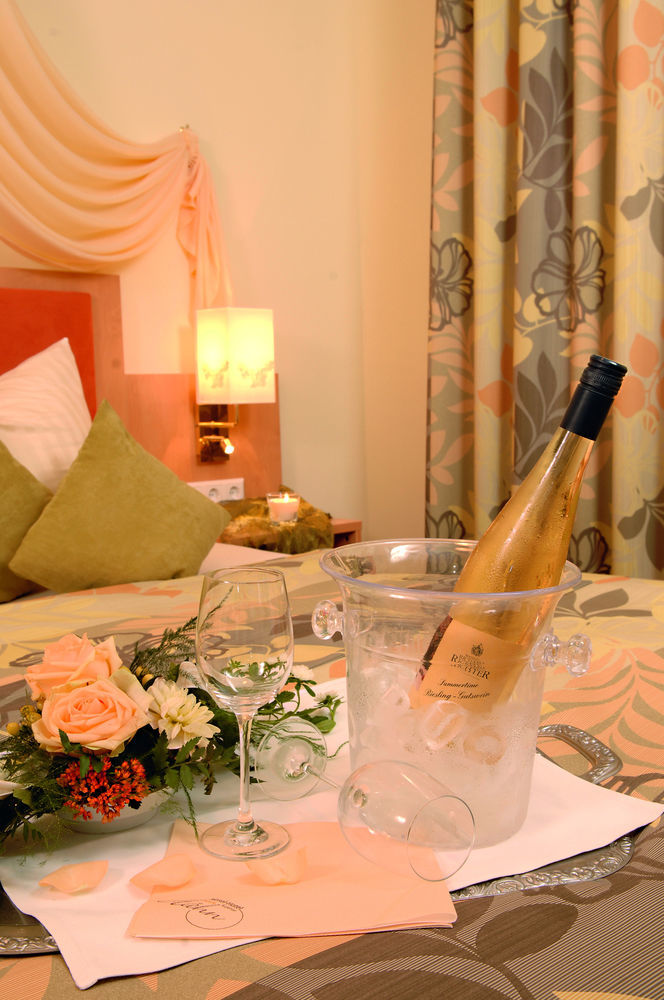 Mosel Hähn Hotel Koblenz (Rhineland-Palatinate)