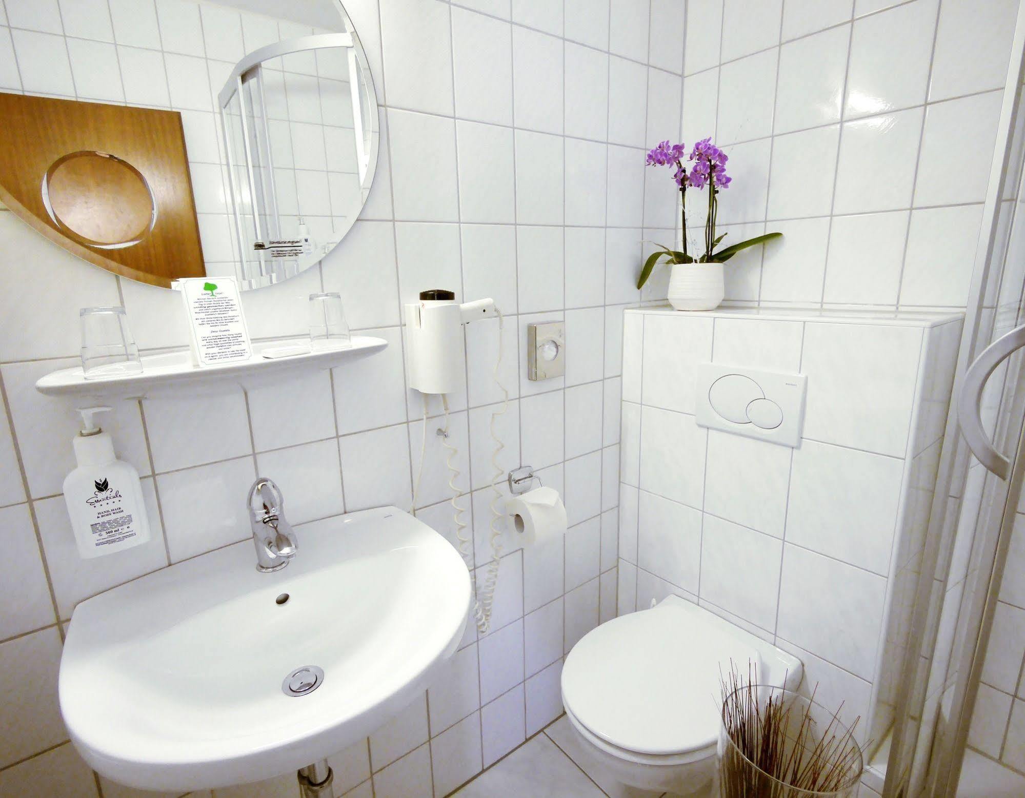 Mosel Hähn Hotel Koblenz (Rhineland-Palatinate)